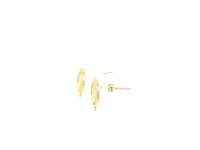 14k Yellow Gold Roman Coin Earrings