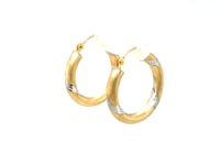 14k Two Tone Gold Polished Hoop Earrings (3x20mm)