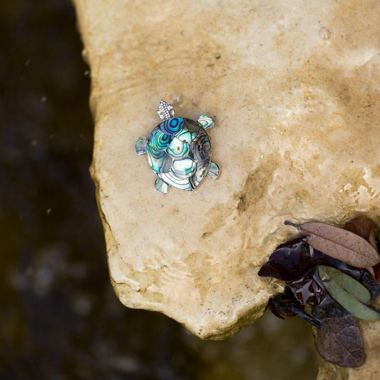 Paua Shell Turtle Pin/Pendant freeshipping - Higher Class Elegance