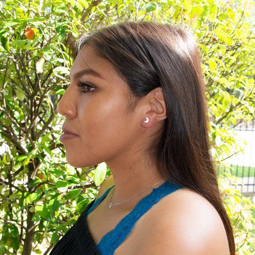 Small Polished Crescent Moon Stud Earrings freeshipping - Higher Class Elegance